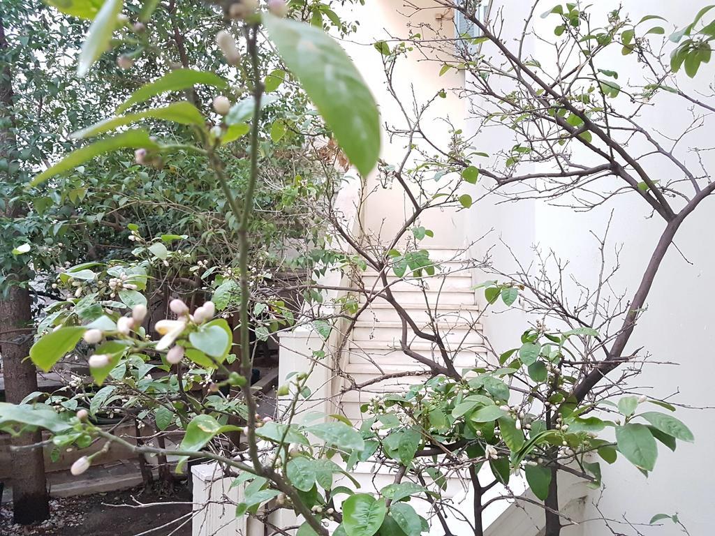Errathens Aegean *